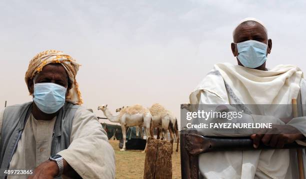 Saudis wear mouth and nose masks as they watch camels at their farm on May 12, 2014 outside Riyadh. Saudi Arabia has urged its citizens and foreign...