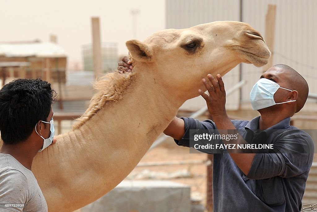 SAUDI-HEALTH-MERS-VIRUS-CAMELS