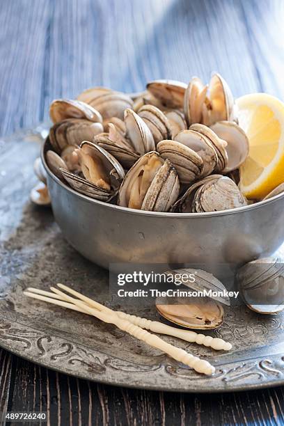 fresh steamed clams - clam seafood stock pictures, royalty-free photos & images