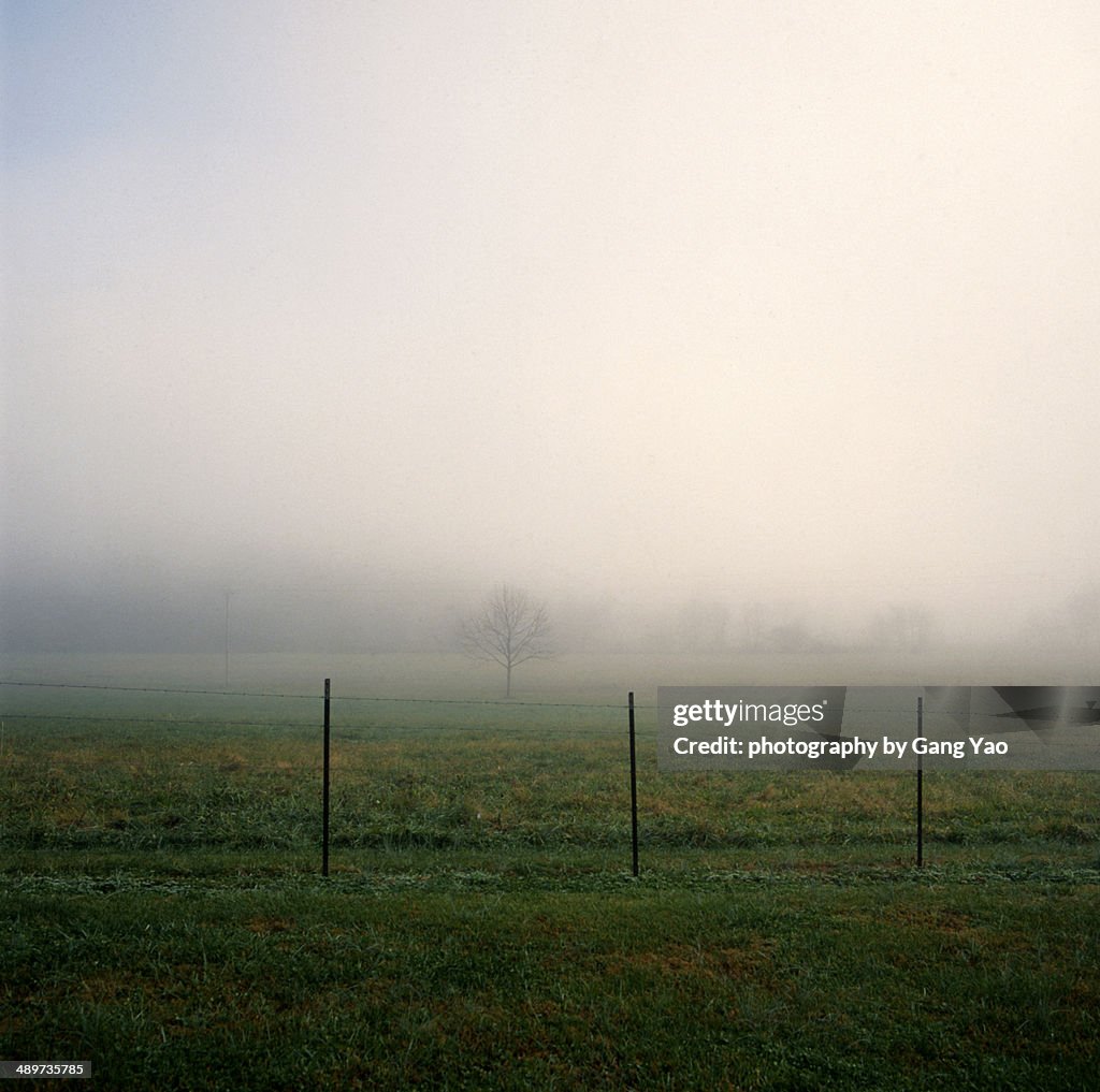 HS11282011010