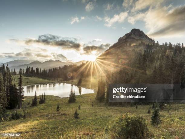 mt.rainier in sonnenuntergang - mount rainier nationalpark stock-fotos und bilder