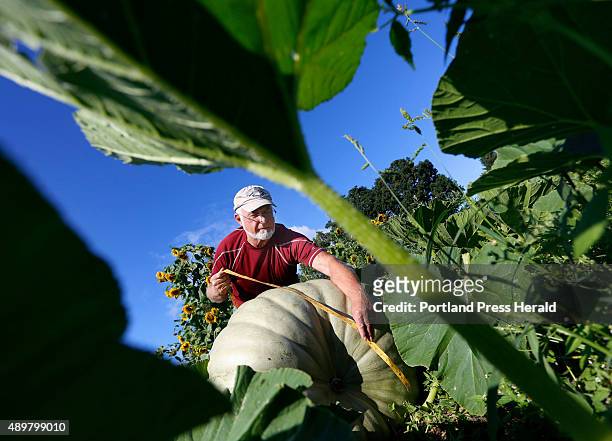 John Chandler measures a giant squash he is growing at Springbrook Farm to show at the Cumberland Fair.
