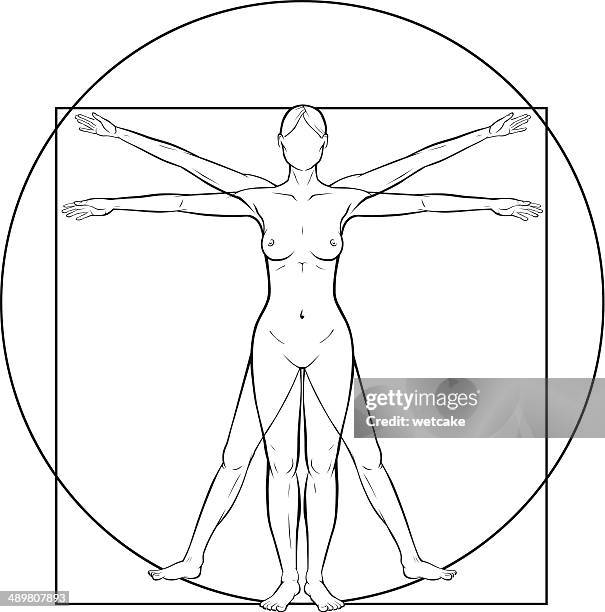 ilustraciones, imágenes clip art, dibujos animados e iconos de stock de vitruvian mujer - leonardo da vinci