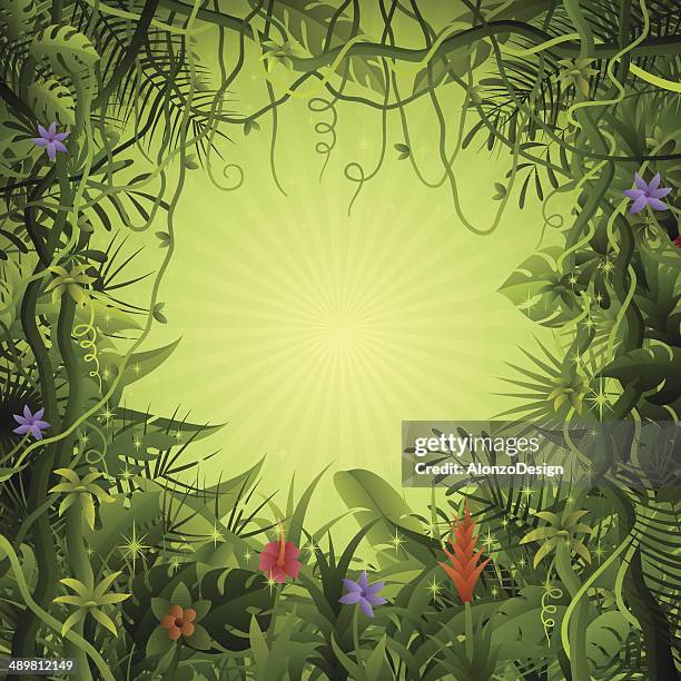 rainforest background - amazon forest stock illustrations