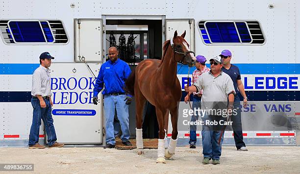 Assistant trainer Alan Sherman leads Kentucky Derby winner California Chrome off the van after arriving at Pimlico Race Course in preparation for the...