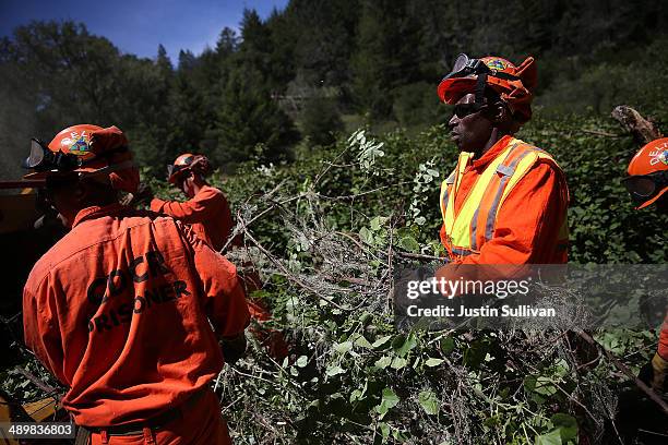 Calfire Inmate Program Inmate Fire Crews Remove Brush As Fire Season Begins Early In Northern ...