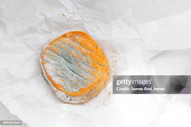french cheese - papel de cera imagens e fotografias de stock