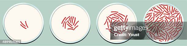 pathogenic bacteria growth - bacteria 幅插畫檔、美工圖案、卡通及圖標