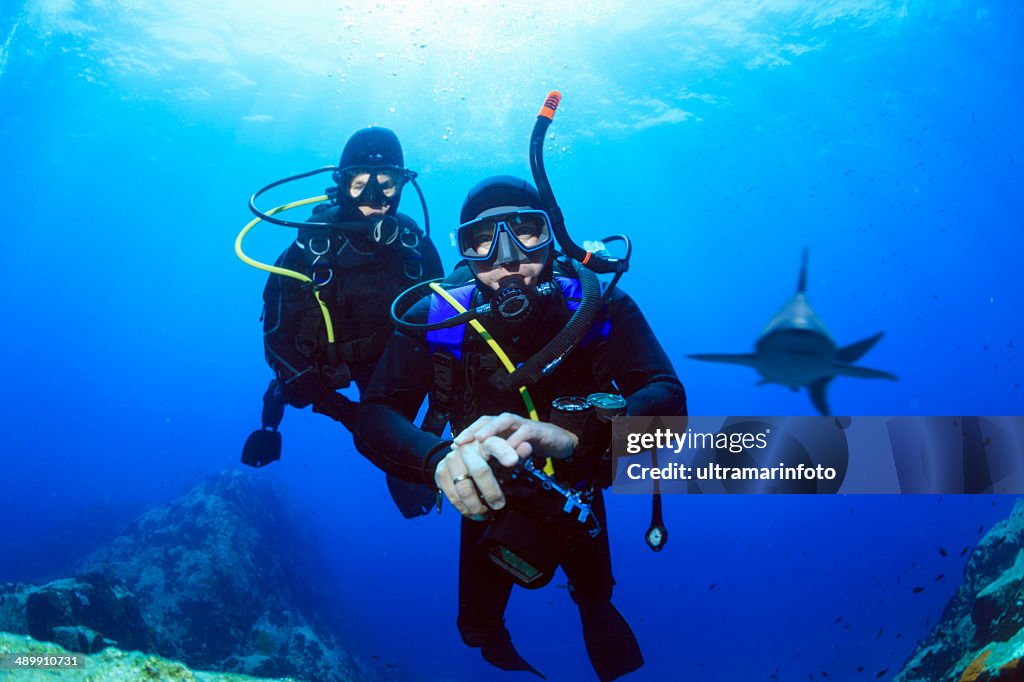 Buceo para buzos tiburón de arrecife