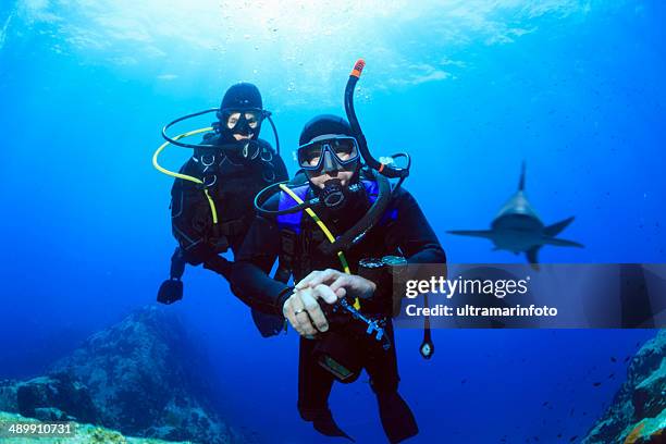 scuba divers - shark reef - scuba diving with shark stock pictures, royalty-free photos & images