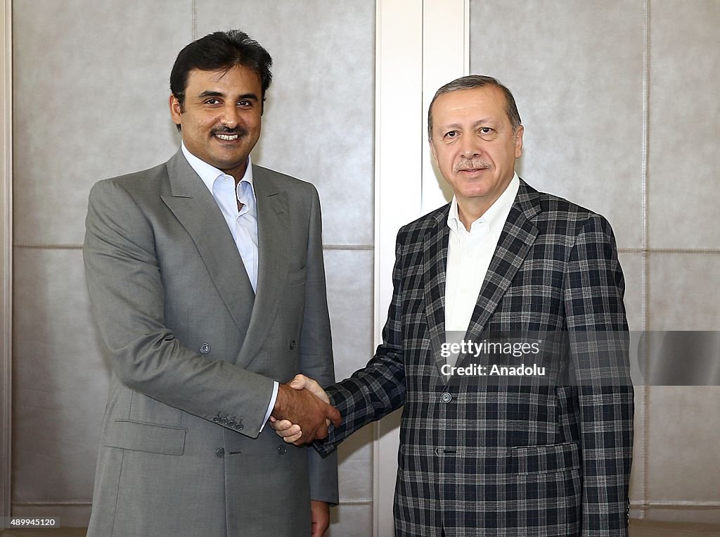 Turkish President Erdogan meets Emir of Qatar Al Thani in Istanbul