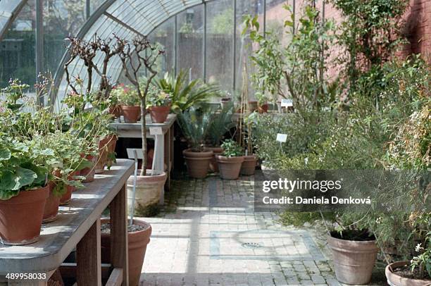 greenhouse in botanical garden leuven - lovaina fotografías e imágenes de stock
