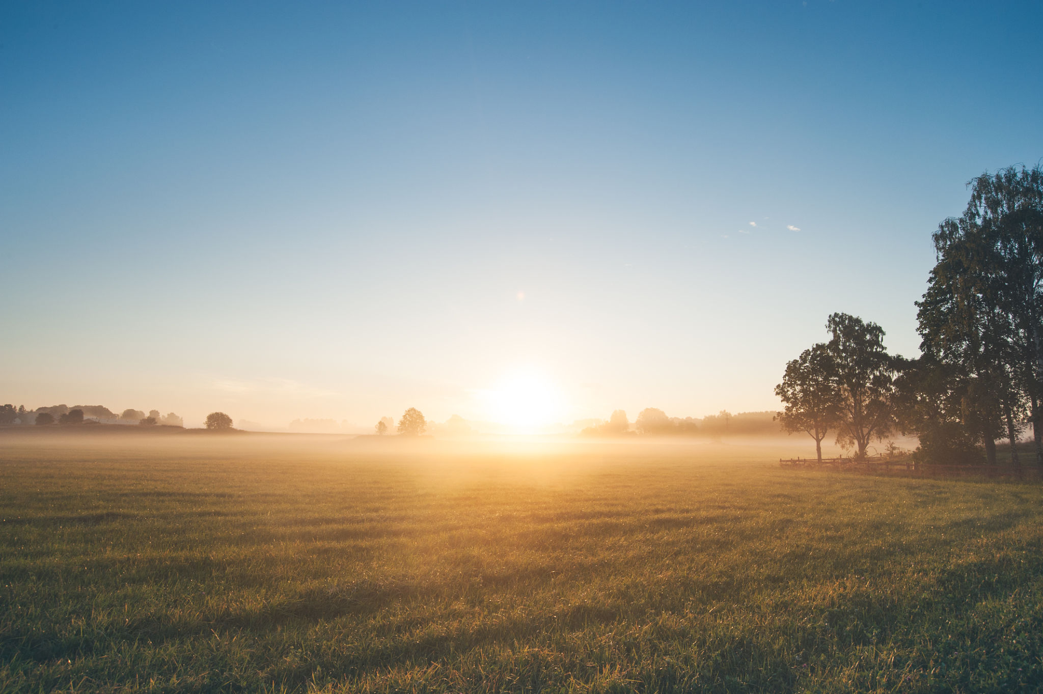 summer fog