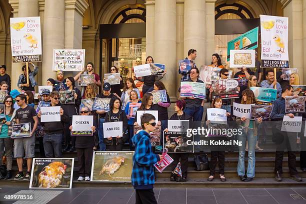melbourne chicken save rally - broiler stock pictures, royalty-free photos & images