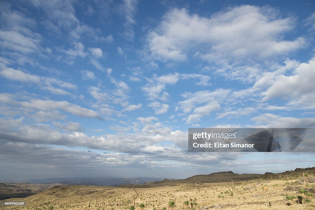 Simien Mountains National Park. Northern Ethiopia.
