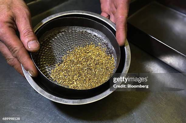 Machine Sieving Gold Gold Sieve Photos and Premium High Res Pictures - Getty Images