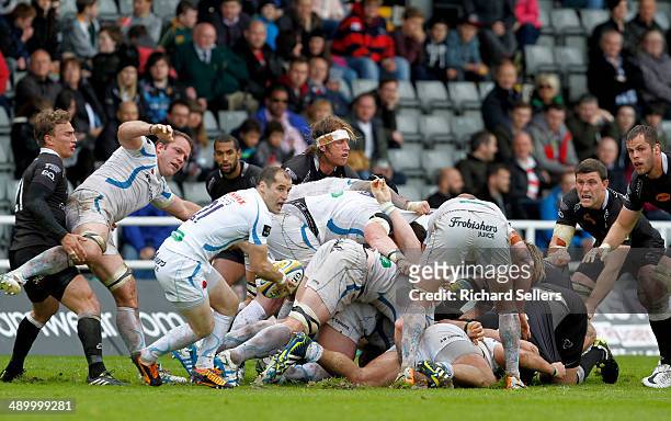 Haydn Thomas of Exeter Chiefs during the Aviva Premiership match between Newcastle Falcons and Exeter Chiefs at Kingston Park on May 10, 2014 in...