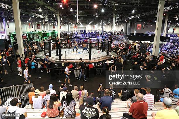 General view of the UFC Fan Expo in the Sands Expo and Convention Center on July 10, 2015 in Las Vegas Nevada.