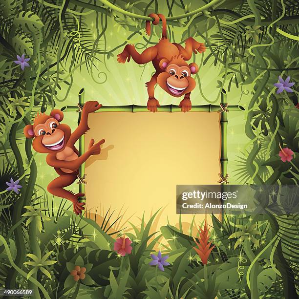 monkeys with a bamboo sign - jungle tree cartoon stock illustrations