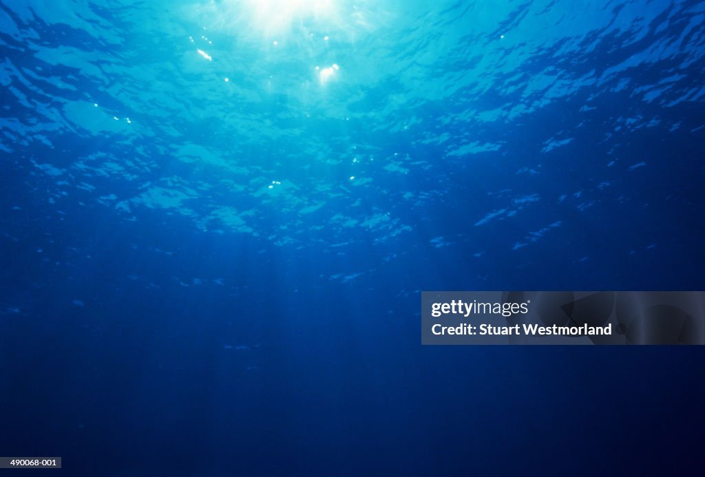 Sunlight streaming through clear tropical water,Kona,Hawaii,USA