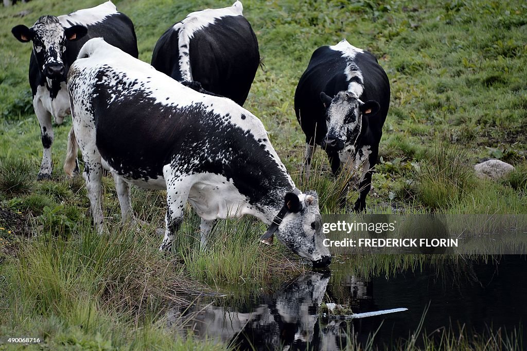 FRANCE-AGRICULTURE-BREEDING-CHEESE