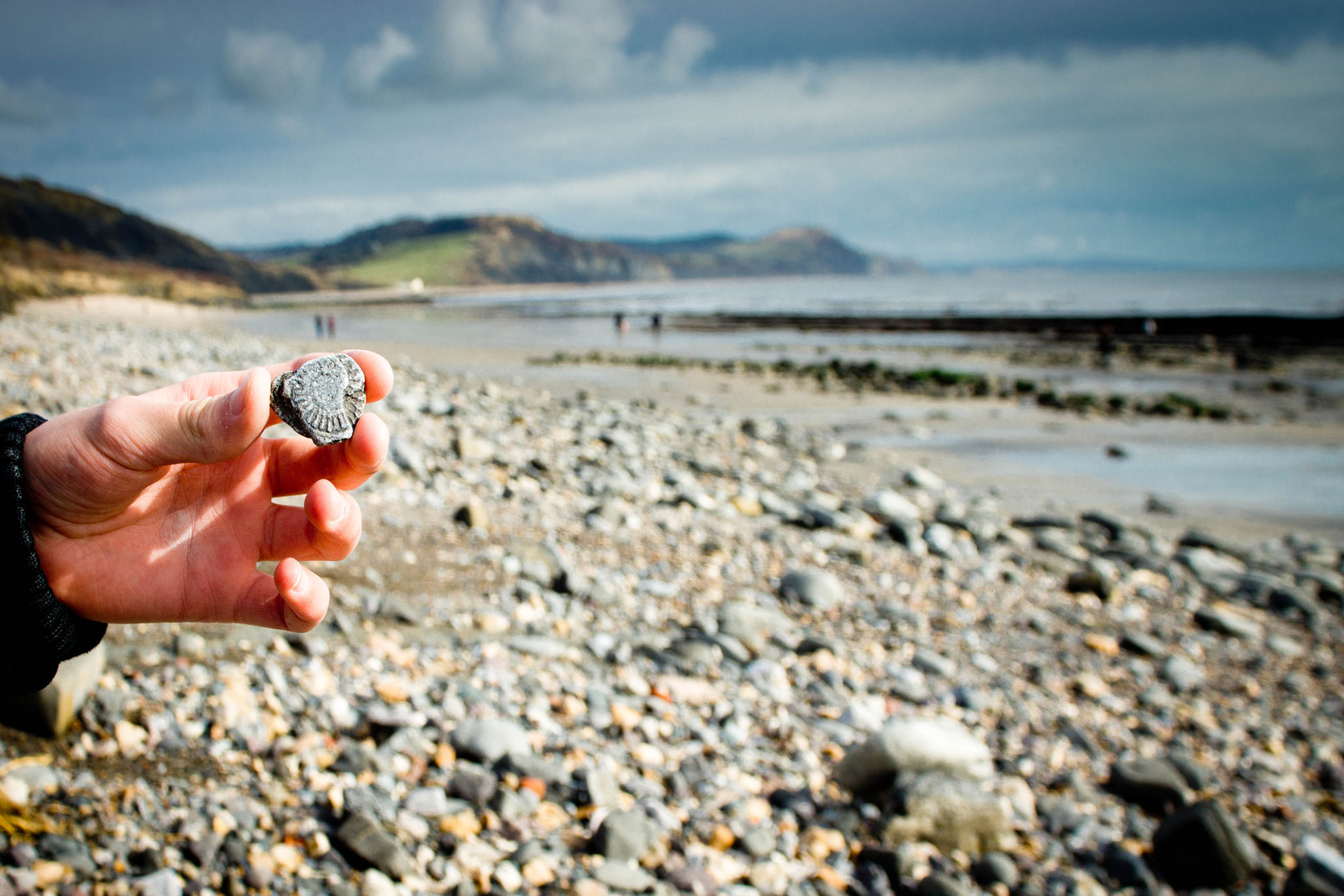 fossil hunting