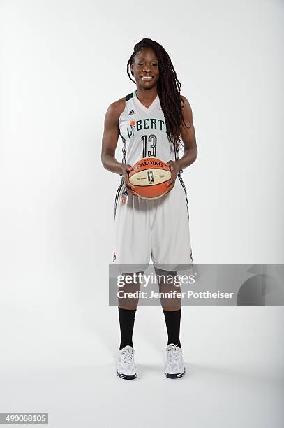 Nicky Anosike of the New York Liberty poses for a portrait during 2014 WNBA Media Day at the MSG Training Facility on May 12, 2014 in Tarrytown, New...