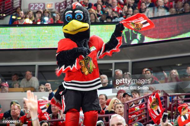 The Chicago Blackhawks mascot, Tommy Hawk, cheers on the team in Game Two of the Second Round of the 2014 Stanley Cup Playoffs against the Minnesota...