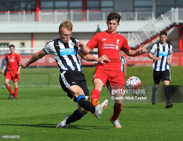 Ben Pollock Shell 208 Ben Pollock Stock Photos, High-Res Pictures, and Images - Getty Images