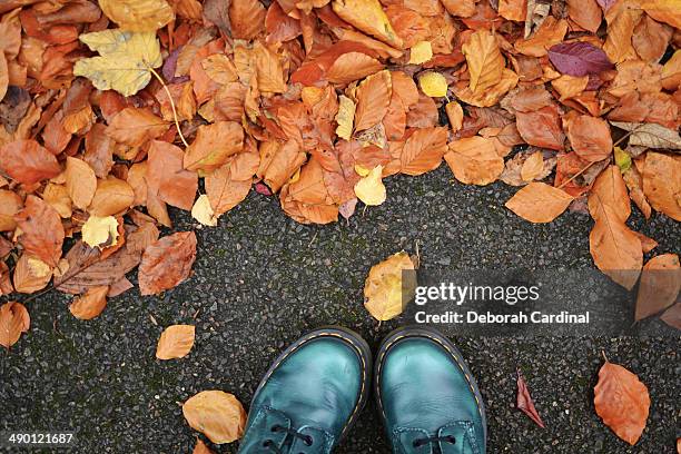 wet autumn day - nottinghamshire stock pictures, royalty-free photos & images