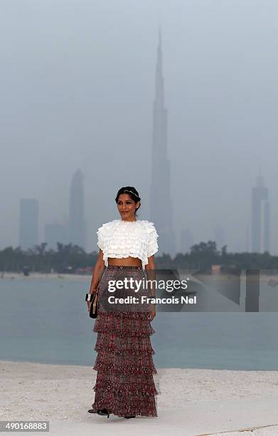 Actress Freida Pinto attends the Chanel Cruise Collection 2014/2015 Photocall at The Island on May 13, 2014 in Dubai, United Arab Emirates.