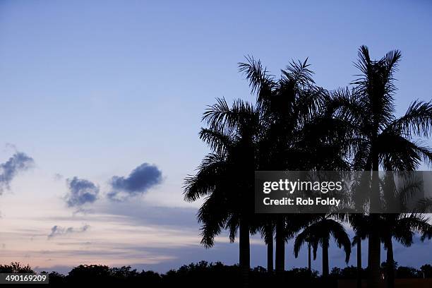 General view of palm trees just outside the stadium during the game between the Florida Launch and the Ohio Machine at Florida Atlantic University...