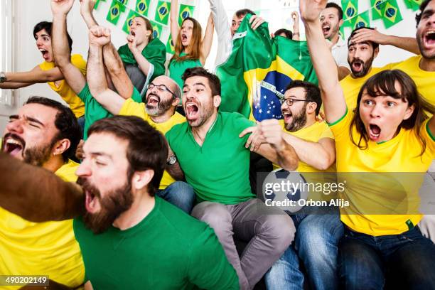 brazillian supporters - crowd cheering stage stock pictures, royalty-free photos & images