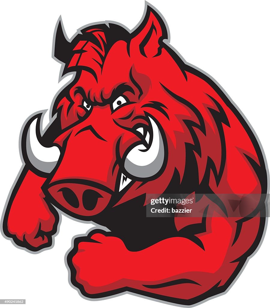 Mantacor Razorback Razorback Mascot High-Res Vector Graphic - Getty Images