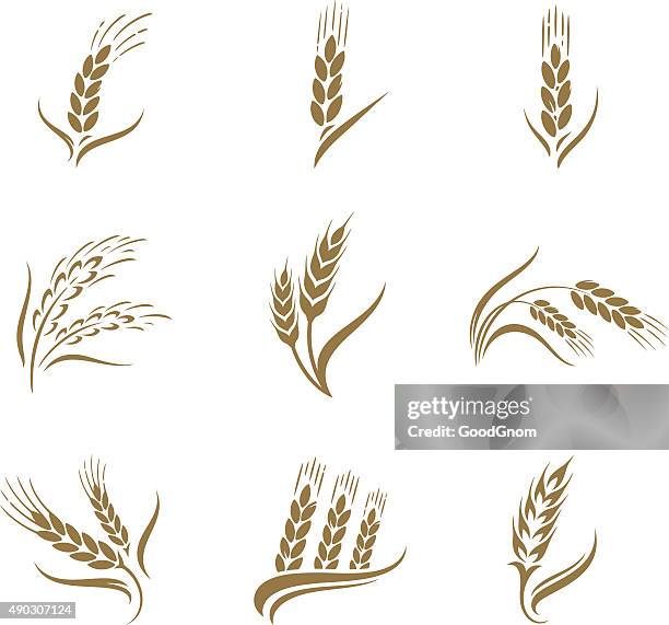 wheat icon set - cereal plant stock illustrations