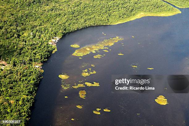 Jamari Rivers 101 Jari River Stock Photos, High-Res Pictures, and Images - Getty Images