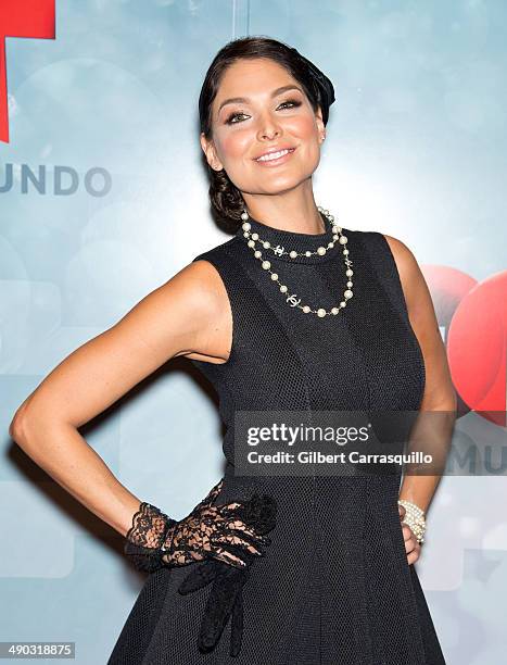 Actress Blanca Soto attends the 2014 Telemundo Upfront at Frederick P. Rose Hall, Jazz at Lincoln Center on May 13, 2014 in New York City.