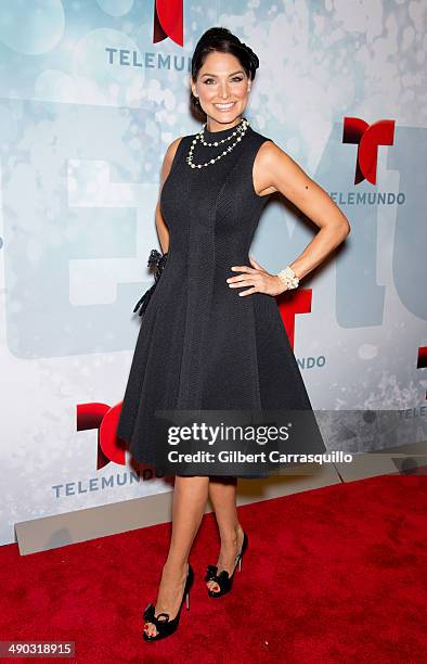 Actress Blanca Soto attends the 2014 Telemundo Upfront at Frederick P. Rose Hall, Jazz at Lincoln Center on May 13, 2014 in New York City.