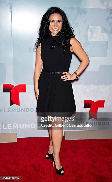 Penelope Menchaca attends the 2014 Telemundo Upfront at Frederick P. Rose Hall, Jazz at Lincoln Center on May 13, 2014 in New York City.