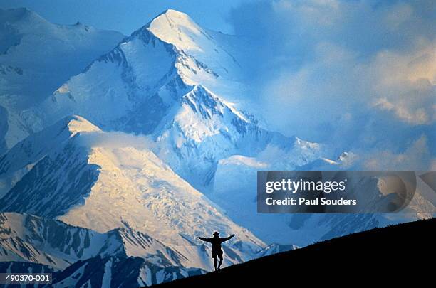 usa,alaska,denali national park, mount mckinley,hiker in foreground - mt mckinley stock pictures, royalty-free photos & images