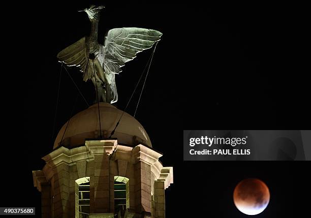 The moon turns red during a total eclipse, seen behind the iconic Liver Bird on the Liver Building in Liverpool, north west England, early on...