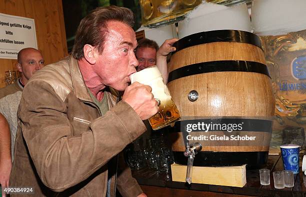 Arnold Schwarzenegger draws beer during his visit at the Schuetzenfestzelt during the Oktoberfest 2015 at Theresienwiese on September 24, 2015 in...