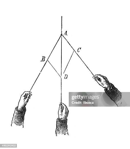 4 052点の手を引っ張るのストックフォト Getty Images 4 052点の手を引っ張るのストックフォト Getty Images