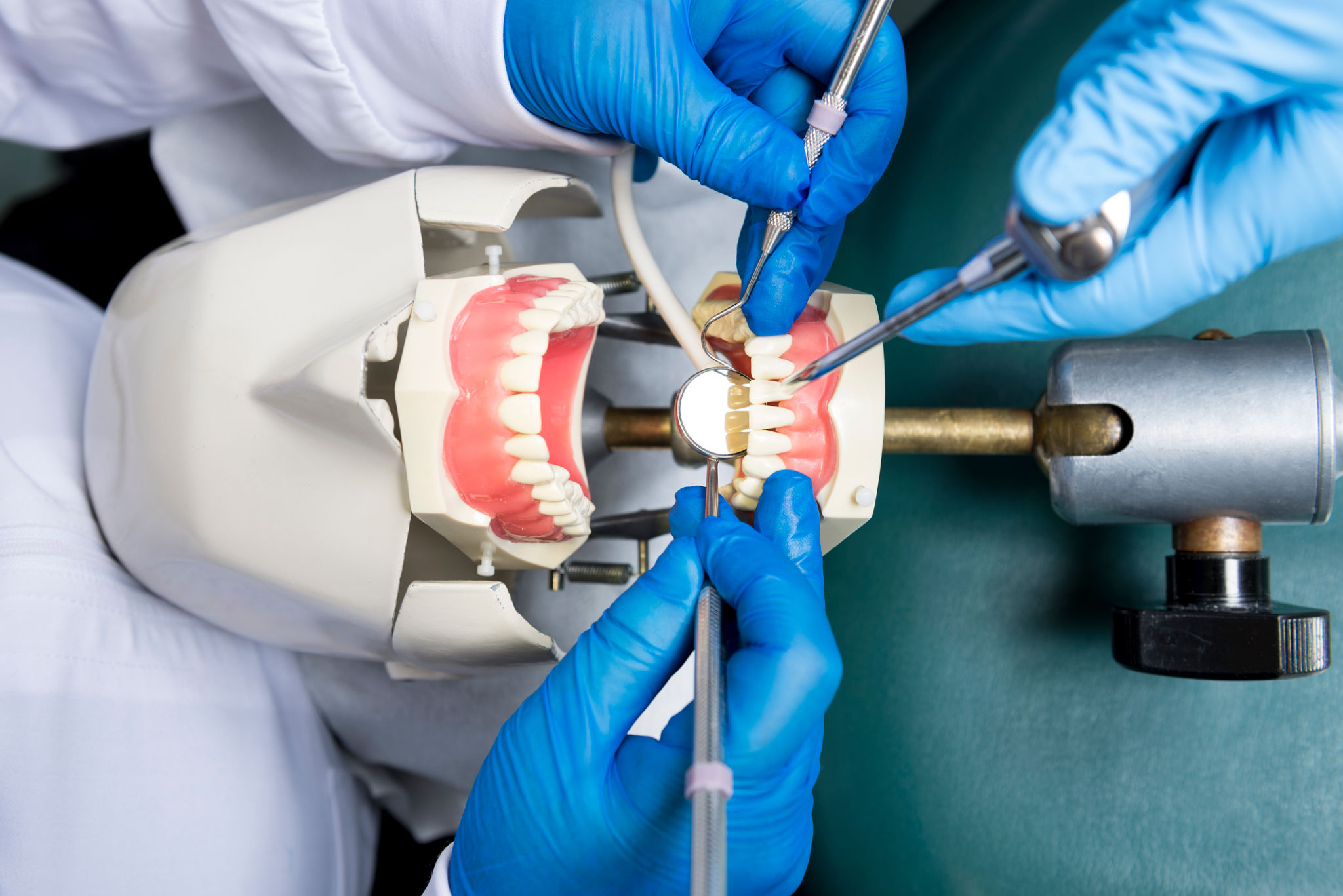 dental workshop