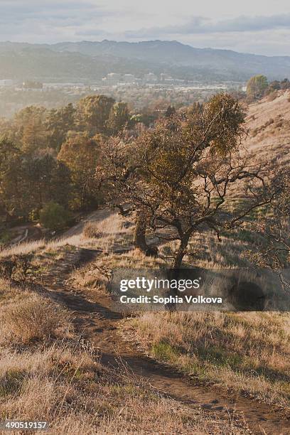 Steel Ridge Ca Shell Ridge California Photos and Premium High Res Pictures - Getty Images