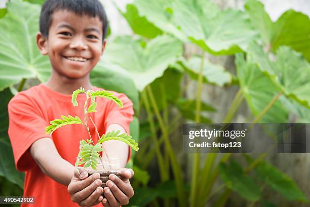 child cares for plant seedling. gardening. environmental conservation. - tamarind stock pictures, royalty-free photos & images