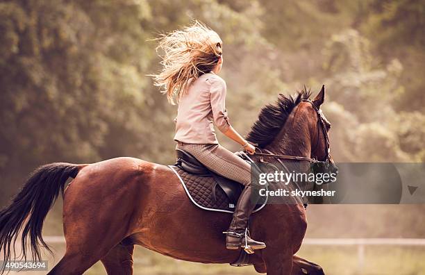 woman practicing with her horse outdoors. - horseback riding stock pictures, royalty-free photos & images