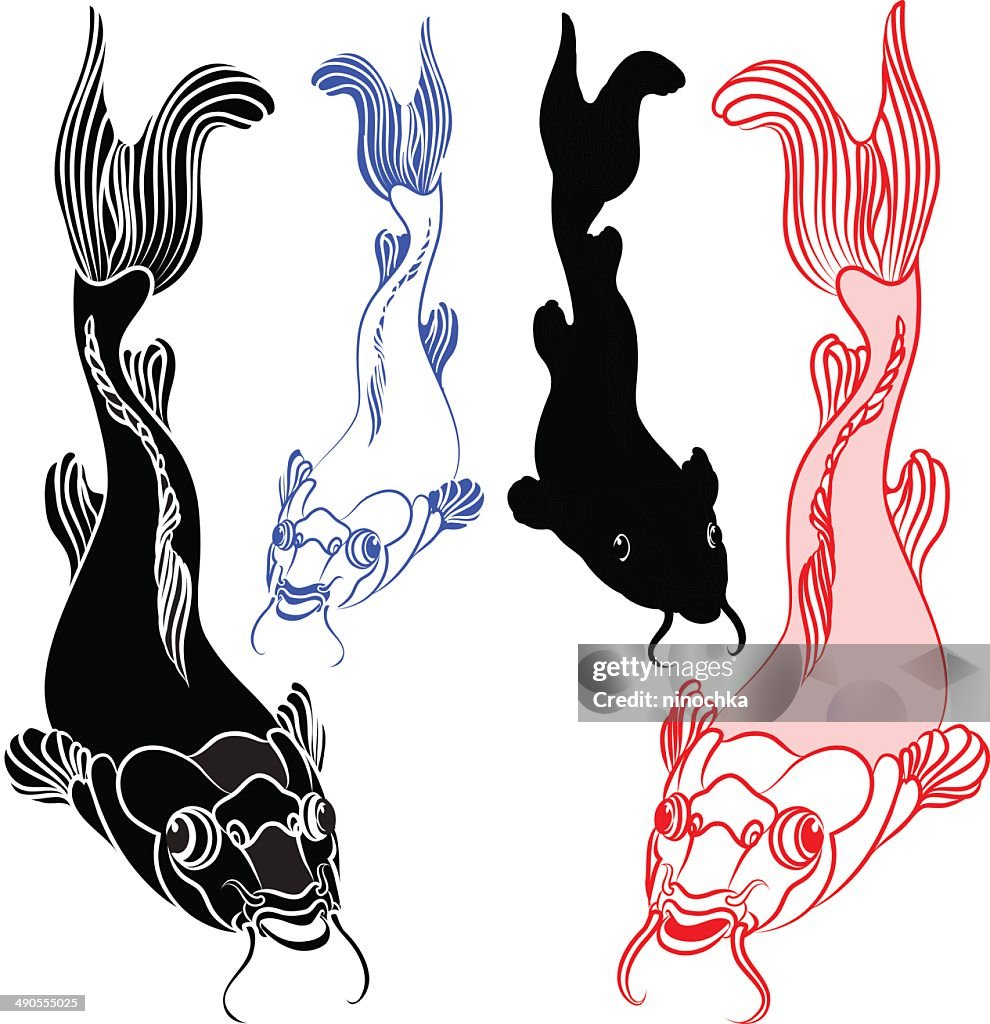 Koi Fish