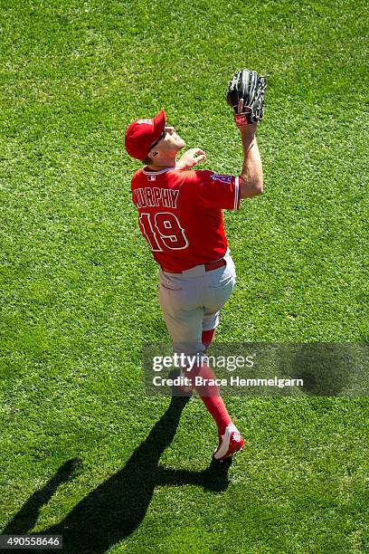 David Murphy of the Los Angeles Angels fields in the first game of a doubleheader against the Minnesota Twins on September 19, 2015 at Target Field...