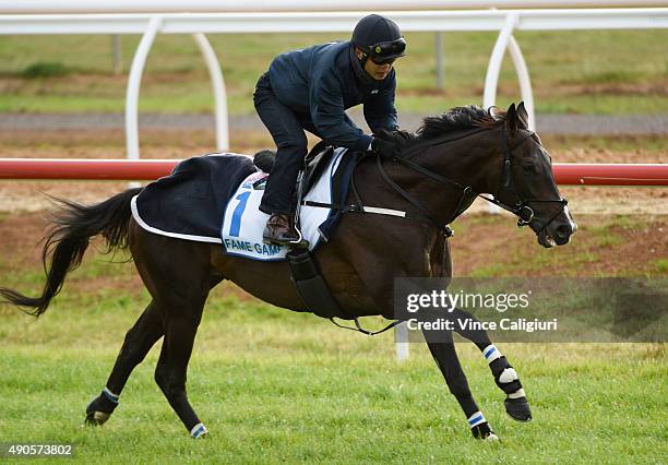 Japanese galloper Fame Game gallops on the course proper during a trackwork session at Werribee Racecourse on September 30, 2015 in Melbourne,...